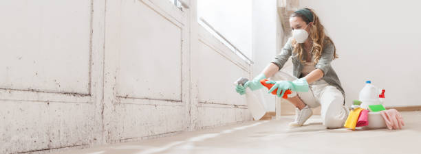 Best Mold Removal for HVAC Installations  in Twentynine Palms, CA